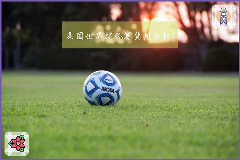 美国世界杯观赛费用分析！