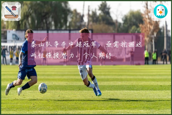 泰山队争夺中超冠军，亟需挖掘这两位强援潜力，令人期待