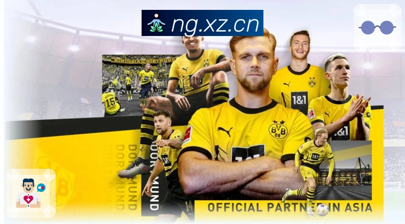 <strong>NG体育</strong>APP界面展示